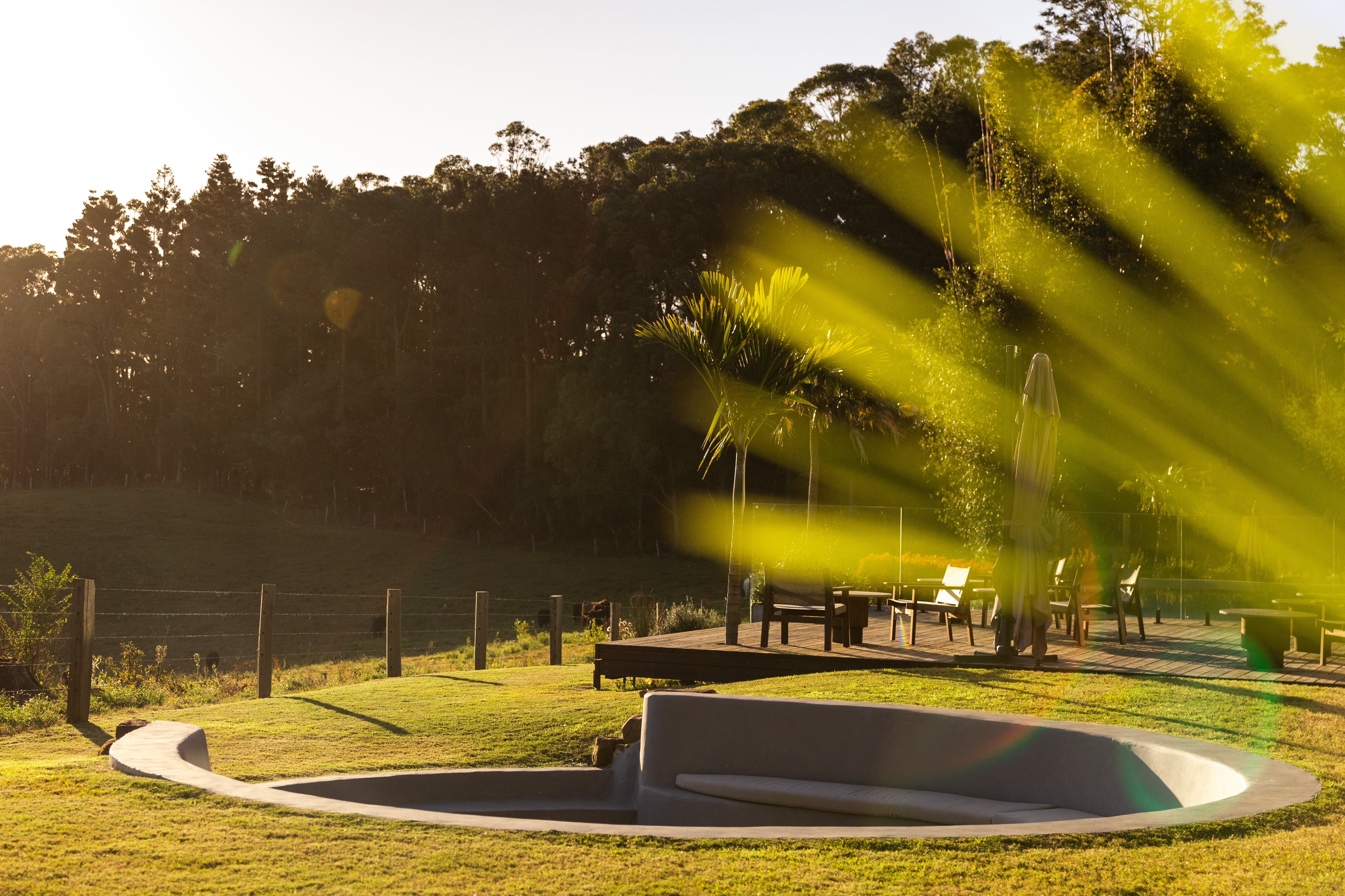 A sunken circular firepit cut into the lawn with a curved concrete bench around it, a timber deck of outdoor dining and a furled umbrella just beyond, and late sun raking through palms and eucalypts.
